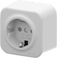 Розетка бытовая с заземлением IP20 белый 25 01 1000 243