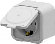 Розетка бытовая с заземлением IP20 белый 25 01 1000 218