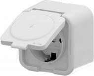 Розетка бытовая с заземлением IP20 белый 25 01 1000 244