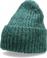 Шапка 4F D4Z20-CAD209-46M р.one size бирюзовый