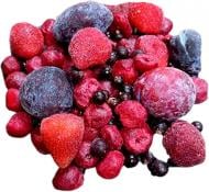 Ягоды замороженные Україна смесь компотная 500 г
