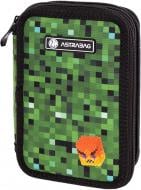 Пенал школьный AC31 Pixel one ASTRABAG черный с зеленым