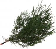 Веточка декоративная хвойная натуральная ель до 1 м