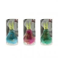 Растение Гиппеаструм 0 х20 микс луковица в воске Universe Saturnus в подарочном тубусе Растение Гиппеаструм 0 х20 микс луковица в воске Universe Saturnus в подарочном тубусе