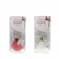 Растение Гиппеаструм 0 х20 микс луковица в воске в подарочном тубусе Растение Гиппеаструм 0 х20 микс луковица в воске в подарочном тубусе