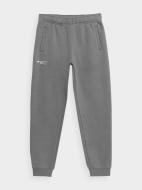 Брюки 4F TROUSERS CAS M556 4FJSS23TTROM556-25S р. 152 серый