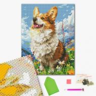 Алмазная мозаика Солнечный Корги 30х40 см Brushme Алмазная мозаика Солнечный Корги 30х40 см Brushme