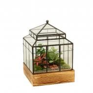 Растение Флорариум 32 х45 Wardian case 1 Растение Флорариум 32 х45 Wardian case 1