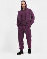 Брюки 4F TROUSERS CAS M525 4FAW22TTROM525-60S р. M фиолетовый Брюки 4F TROUSERS CAS M525 4FAW22TTROM525-60S р. M фиолетовый
