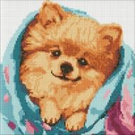 Алмазная мозаика Счастливый шпиц ©art_selena_ua Ideyka