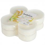 Набор свечей ароматических Bolsius Feel happy Манго и Бергамот 8 шт. / уп