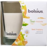 Свеча ароматическая Bolsius 63/90 Feel happy Манго и Бергамот