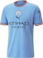 Футболка Puma MCFC HOME JERSEY REPLICA 76571001 р.M голубой
