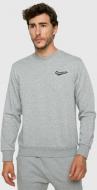 Світшот Converse NOVA CREW FT 10018230-035 р. L світло-сірий