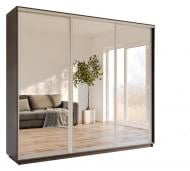 Шкаф-купе Garant ДСП 2200x600x2200 мм венге магия двери зеркало Шкаф-купе Garant ДСП 2200x600x2200 мм венге магия двери зеркало