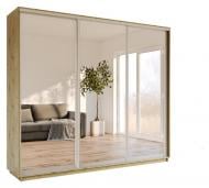 Шкаф-купе Garant ДСП 2200x600x2400 мм дуб артизан двери зеркало