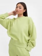 Свитшот 4F SWEATSHIRT 4FSS23TSWSF598-42S р.XL зеленый