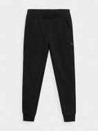 Штани 4F TROUSERS CAS M087 RL9SS22TTROM087-20S р. L чорний Штани 4F TROUSERS CAS M087 RL9SS22TTROM087-20S р. L чорний
