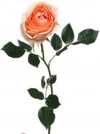 Роза Gravity одноголовая классическая 60 см оранжевая (Нидерланды)