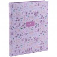 Папка на 2-х кольцах 30 мм TR Morning Dew Axent 1209-1-A-TR