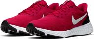Кроссовки мужские Nike Revolution 5 BQ3204-600 р.41 красные