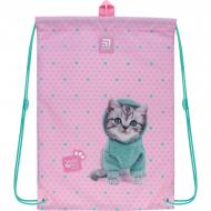 Сумка для взуття KITE Studio Pets SP22-600M-3