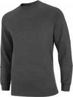 Свитшот 4F D4Z20-BLM309-24S р. XL серый