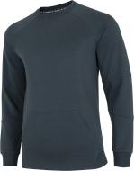 Свитшот 4F D4Z20-BLM309-32S р. 2XL синий