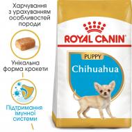Корм сухой для щенков для малых пород Royal Canin CHIHUAHUA PUPPY 0,5 кг (домашняя птица) 500 г