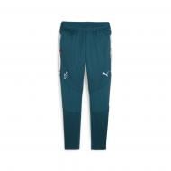 Брюки Puma NEYMAR JR CREATIVITY TRAINING PANTS 65895113 р. M зеленый