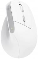 Мышка беспроводная Trust Bayo II Ergonomic Wireless white (25398)