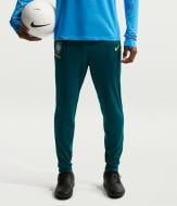Брюки Nike CBF MNK DF ACDPR TRKPANT KP IR0913-381 р. L зеленый