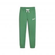 Штани Puma ESS+ SCRIPT PANTS TR 67935086 р. XL зелений