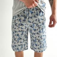 Шорти чоловічі GBI SHM-25-2 геометрія р. L сірий (14508)