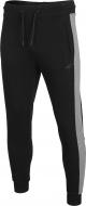 Брюки 4F D4Z20-SPMD306-20S р. XL черный