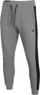 Брюки 4F D4Z20-SPMD306-24M р. 2XL серый