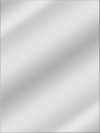 Зеркало Juergen 008 600x800 мм