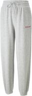 Штани Puma PUMA TEAM SWEATPANTS TR 53838204 р. S сірий Штани Puma PUMA TEAM SWEATPANTS TR 53838204 р. S сірий