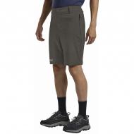 Шорты Jack Wolfskin HIKEOUT SHORTS M A63930_F0302 р. 58 коричневый