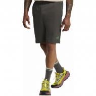 Шорты Jack Wolfskin CELEBRATE THE PAW SHORTS M A65908_F0302 р. L коричневый