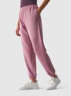 Спортивные штаны 4F