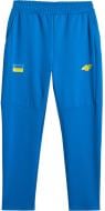Брюки 4F SS26 4FOAW25TFTRM1164-33S р. 2XL голубой