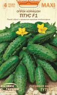 Насіння Насіння України огірок Тітус F1 4 г (4823099812011) Насіння Насіння України огірок Тітус F1 4 г (4823099812011)