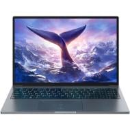 Ноутбук Blackview GamiBook 8 16" (GamiBook_8_16_512_GR) grey