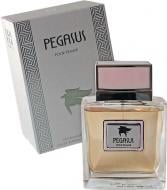 Парфумована вода Pegasus Pegasus 100 мл