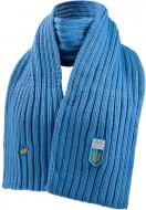 Шарф 4F р.OS 4FOAW25ASCAU057-48S голубой