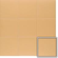 Плитка Mainzu Technical Soft Tangerine 20х20 см