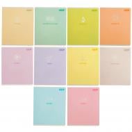 Набір шкільних зошитів PASTEL 48 арк. 8 предметів 10 шт. ZB.1701-99 ZiBi
