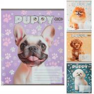 Тетрадь школьная DOGS 12 лист. коса линия KIDS LINE ZiBi