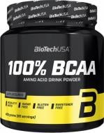 Амінокислотна суміш BioTechUSA 100% BCAA 400 г 
